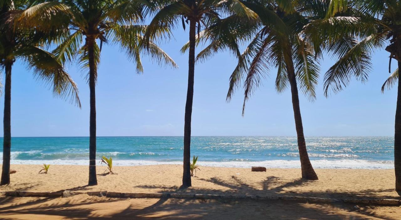 Trevily Porto Flats A 100M Da Praia Pôrto das Galinhas Kültér fotó