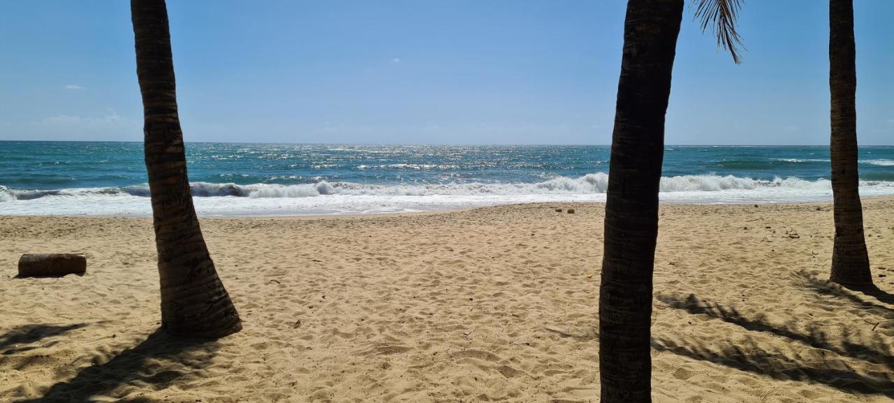 Trevily Porto Flats A 100M Da Praia Pôrto das Galinhas Kültér fotó